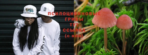 мяу мяу мука Абаза