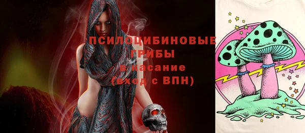 mix Алексин