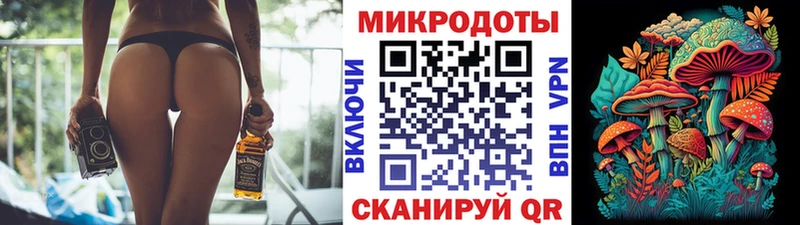 гидра зеркало  площадка телеграм  Галлюциногенные грибы Psilocybine cubensis  Вологда 