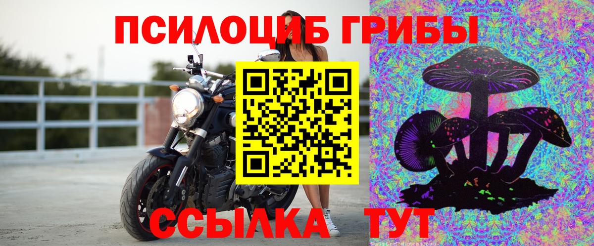 Галлюциногенные грибы Cubensis Вологда