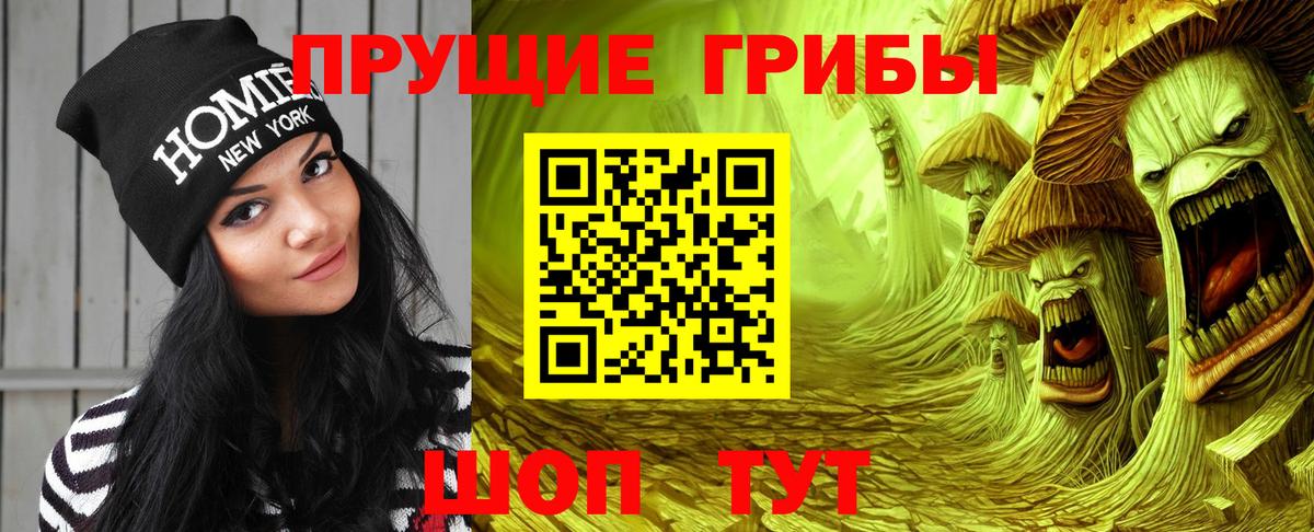 Вологда  Галлюциногенные грибы прущие грибы  Галлюциногенные грибы Psilocybe  Вход с VPN 
